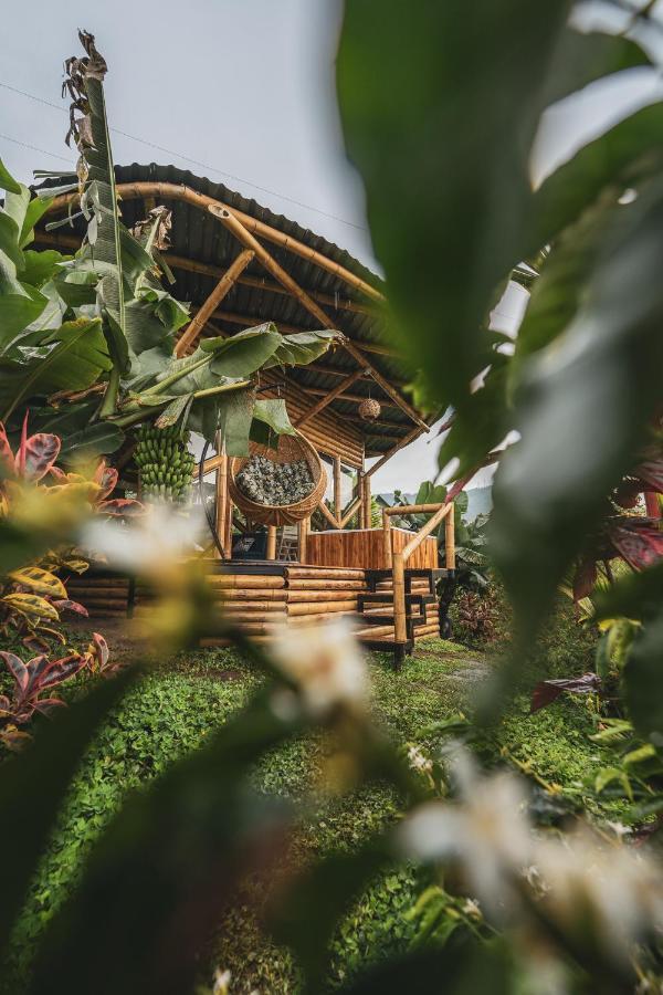 فندق The Coffee Club Campestre Chinchiná المظهر الخارجي الصورة